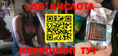 винт Донецк
